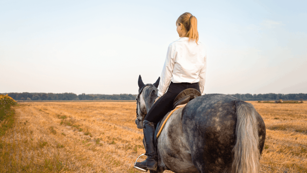 「貴婦人の乗馬」とは？